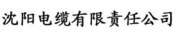 九星霸体诀大结局完本电缆厂logo